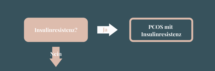 Hast Du eine Insulinresistenz?