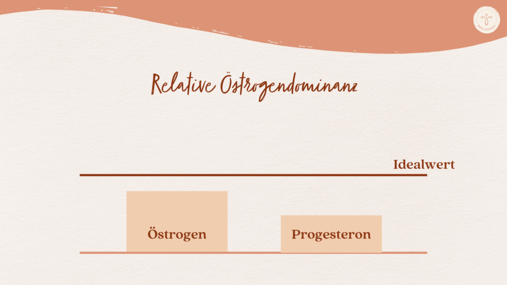 Relative Östrogendominanz & Progesteronmangel