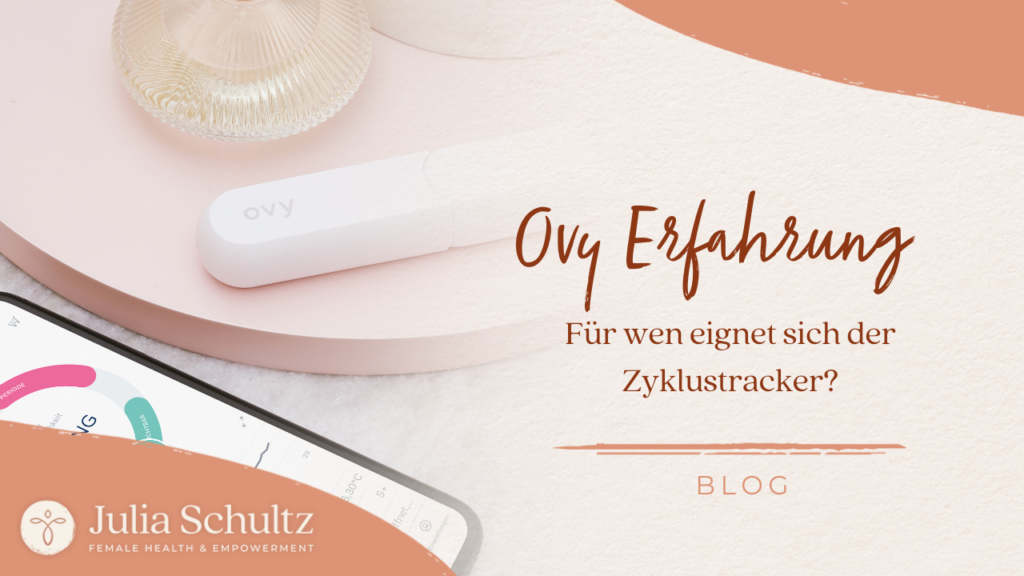 Erfahrungsbericht: Ovy Bluetooth Thermometer im Test