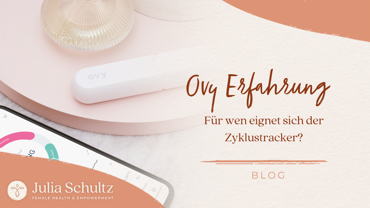 Erfahrungsbericht Ovy Bluetooth Thermometer im Test