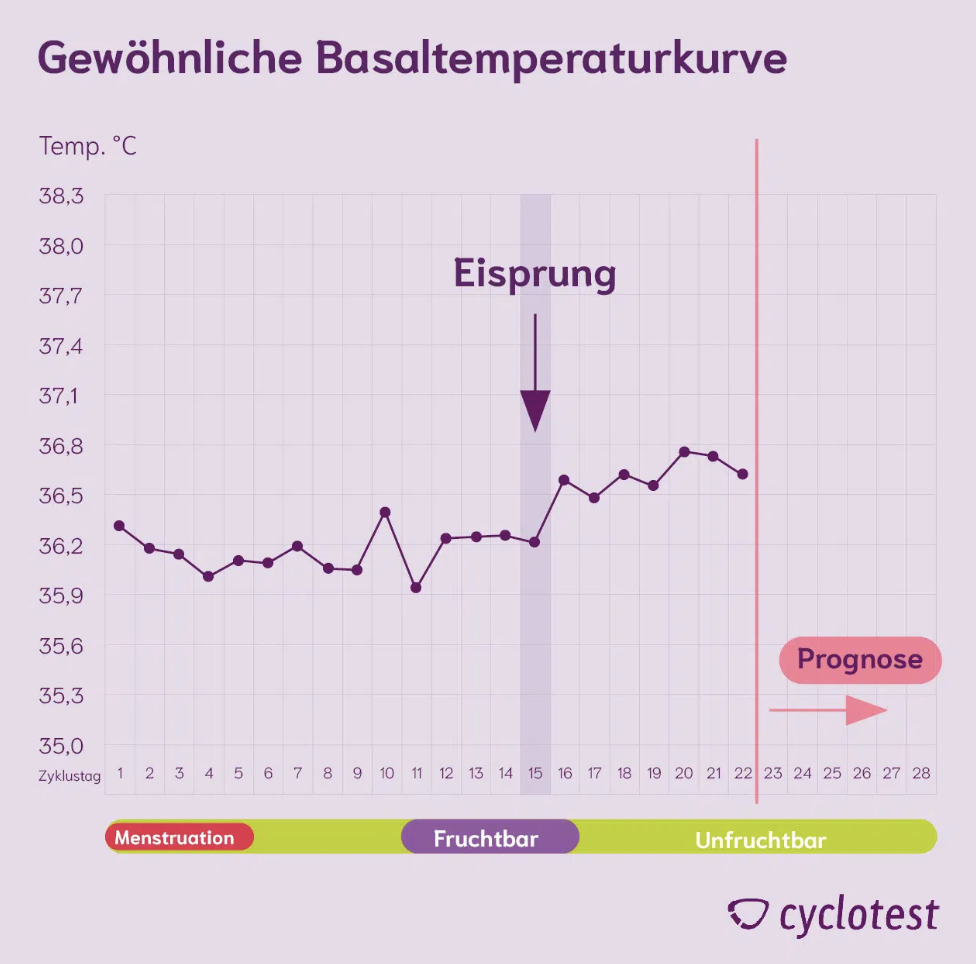 Eisprung in der Basaltemperaturkurve erkennen. Cyclotest myWay bei Kinderwunsch oder zur Verhütung