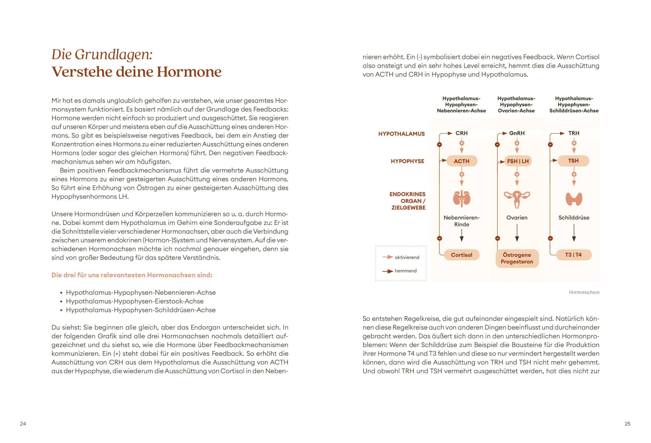 24_INNEN_Diagnoseguide_grundlagen